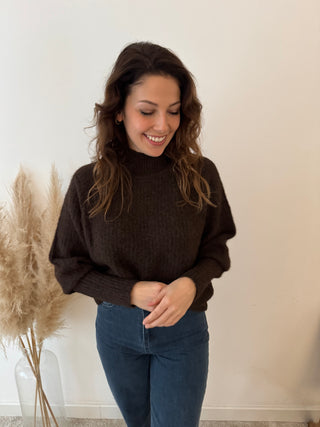 Soft simple brown turtleneck knit