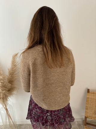 Simple taupe button knit