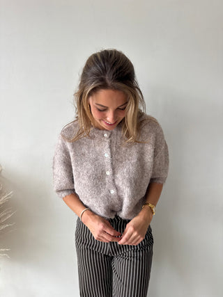 Taupe short sleeves button knit