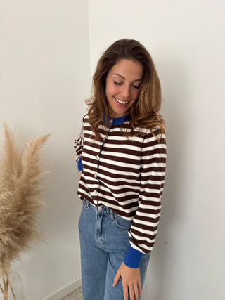 Cobalt details brown striped sweater