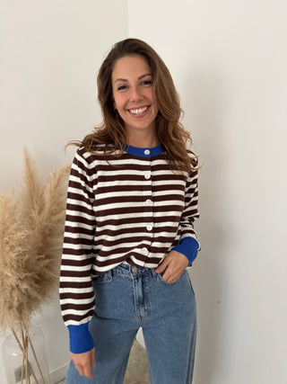 Cobalt details brown striped sweater