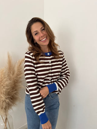 Cobalt details brown striped sweater
