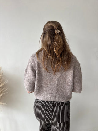 Taupe short sleeves button knit