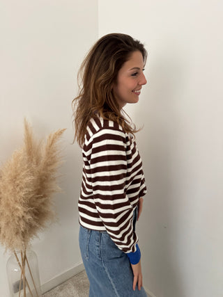 Cobalt details brown striped sweater