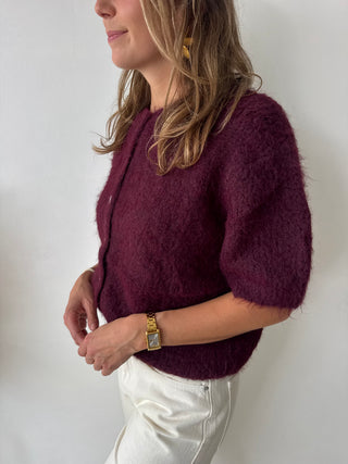 Burgundy short sleeves button knit