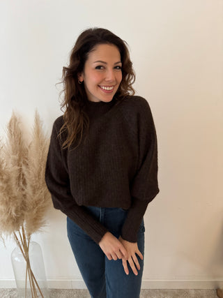 Soft simple brown turtleneck knit