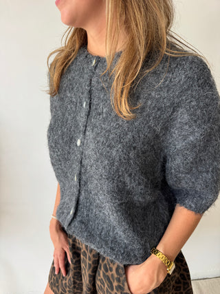 Grey short sleeves button knit
