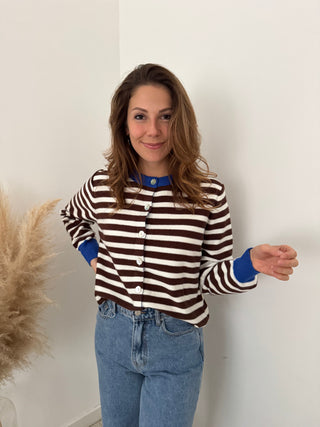 Cobalt details brown striped sweater