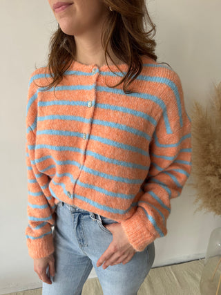 Blue stripes peach knit