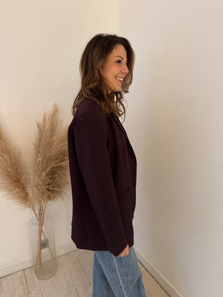 Sparkling plum blazer