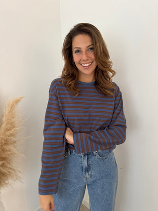 Brown blue striped top