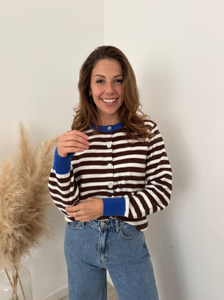 Cobalt details brown striped sweater