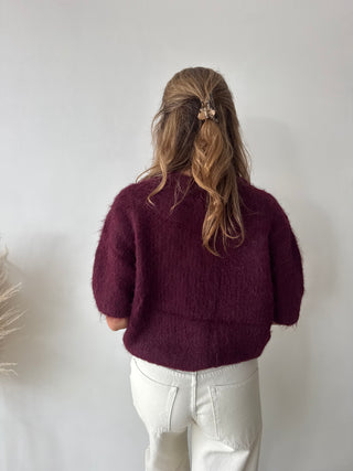 Burgundy short sleeves button knit
