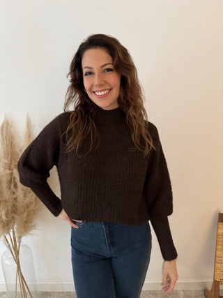 Soft simple brown turtleneck knit