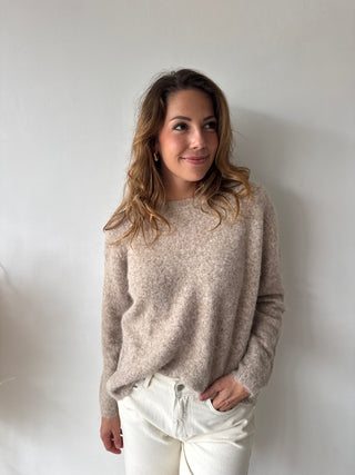 Leopard back detail taupe knit