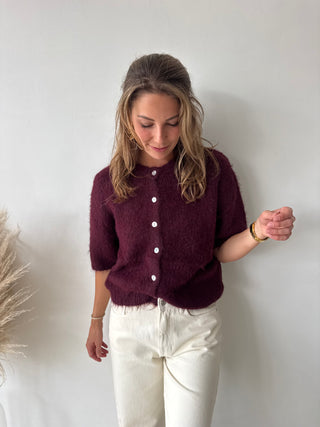 Burgundy short sleeves button knit