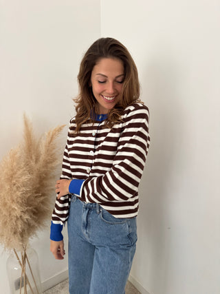 Cobalt details brown striped sweater