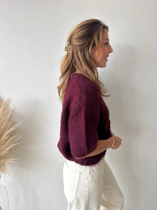Burgundy short sleeves button knit
