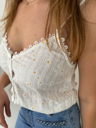 White daisies top