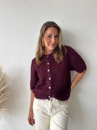 Burgundy short sleeves button knit