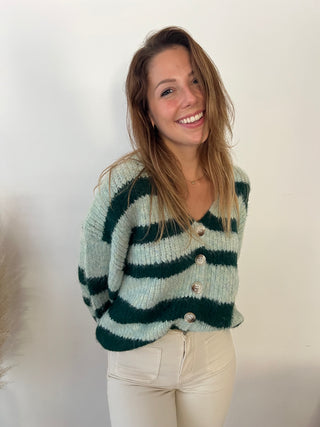 Green striped mint cardigan