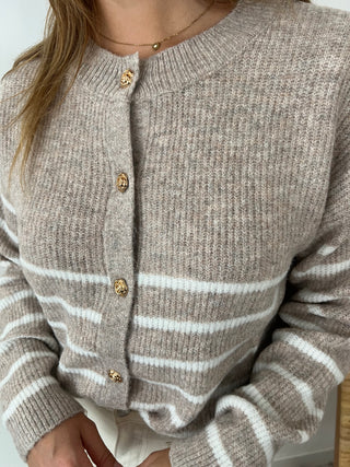 Gold rose buttons taupe striped cardigan